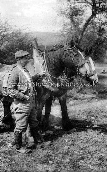 The Ploughman with Heavy Horses. c.1912
